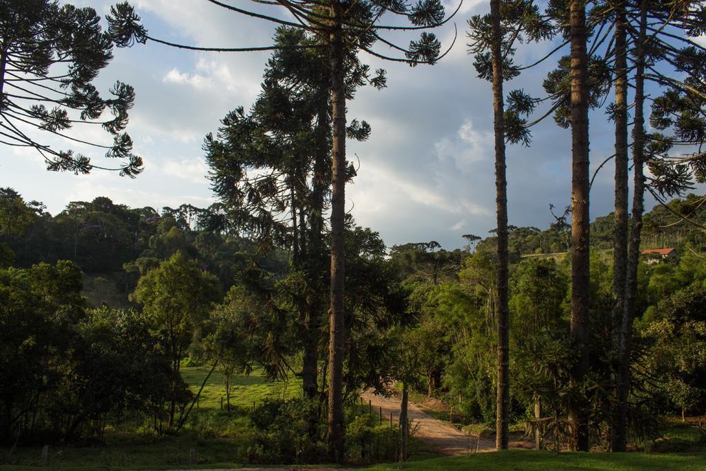 Espaço Recanto do Pico Santo Antônio do Pinhal Exterior foto